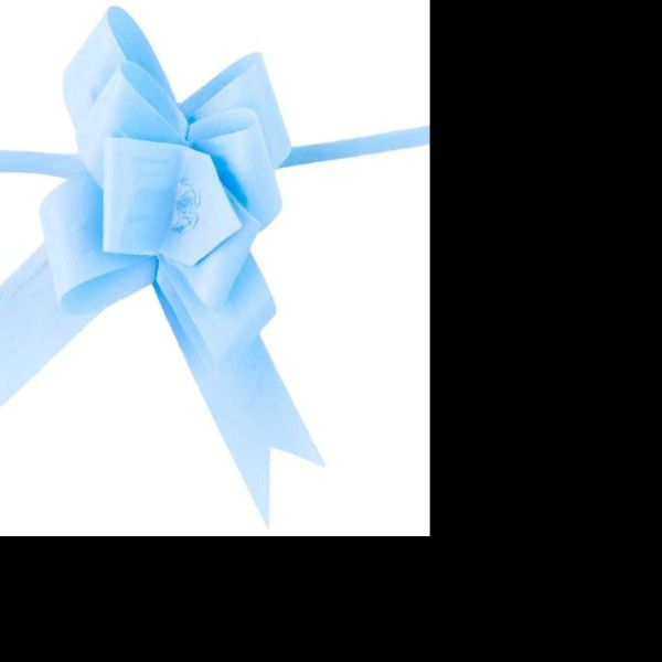 MOÑO CELOMAG. GIG. AZUL CIELO JANEL CAJA C50 C.12